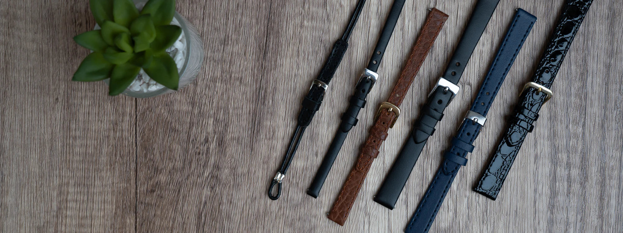 6mm Watch Strap Collection