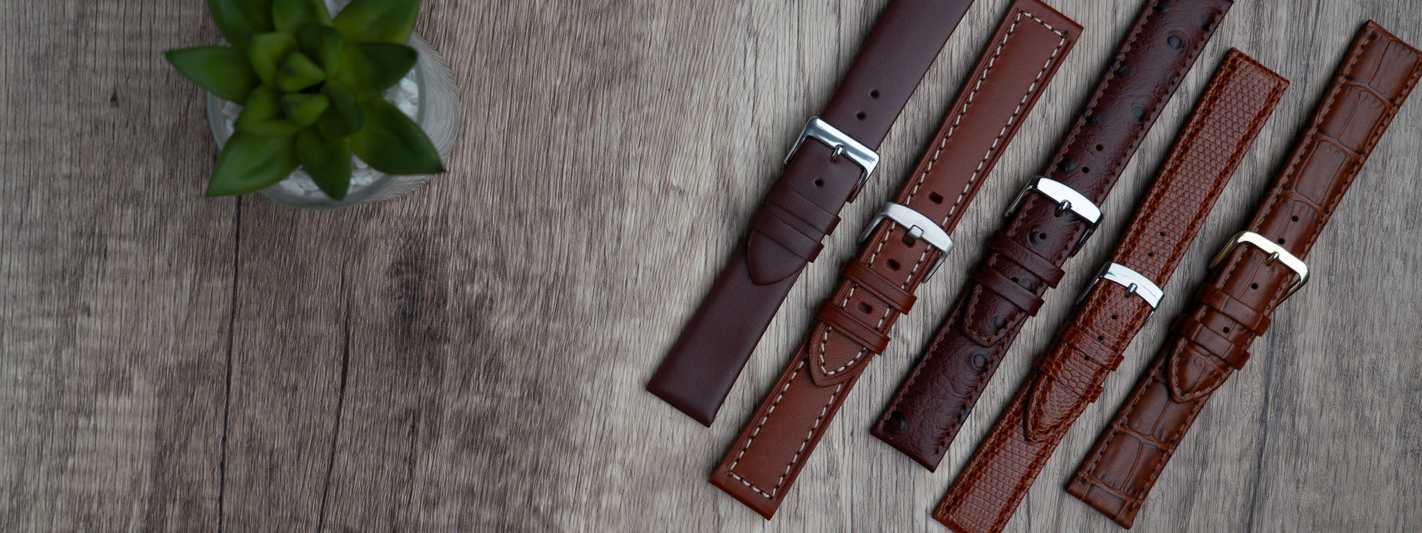 Brown Watch Strap Collection