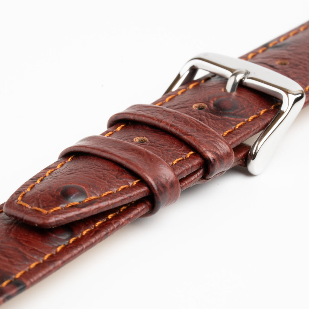 Sandbanks Ostrich Brown Watch Strap, close-up of the buckle and keepers