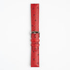 Sandbanks Ostrich Red Watch Strap, buckled up, front view